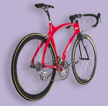 Corima Puma